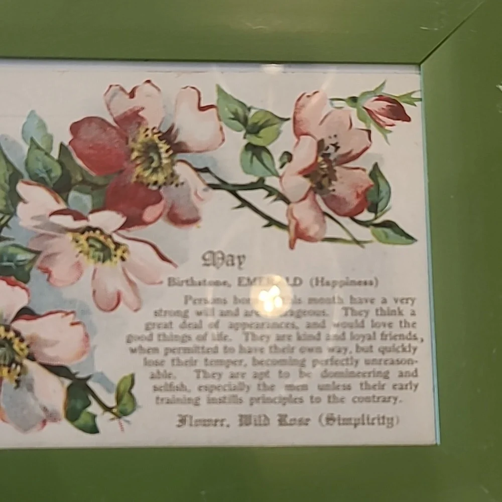 Floral May Vintage Postcard Framed Art